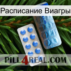 Расписание Виагры 40